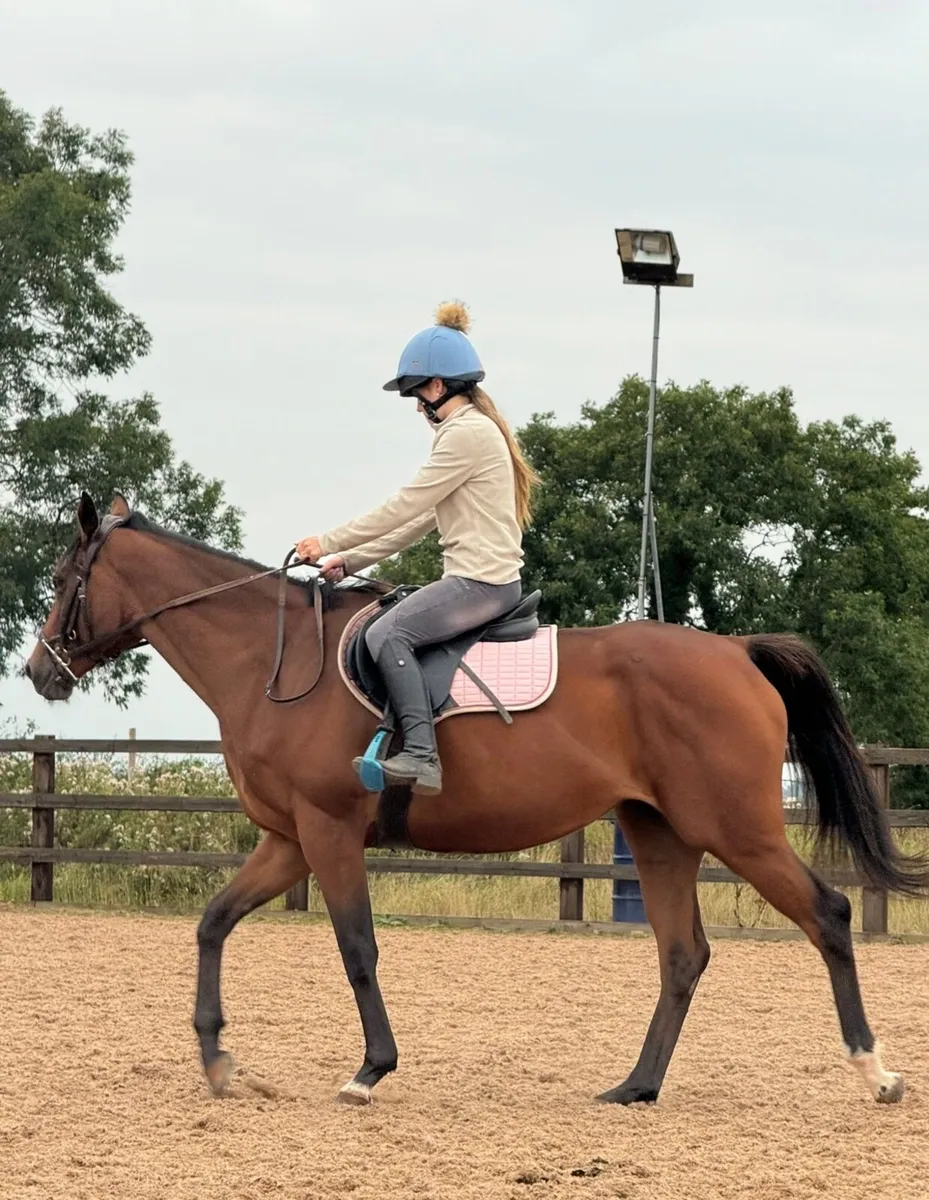 15.2 TB Mare - Image 1