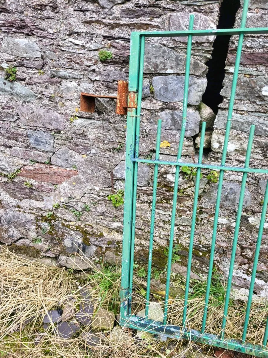 Gates (galvanised, painted, drive) - Image 2