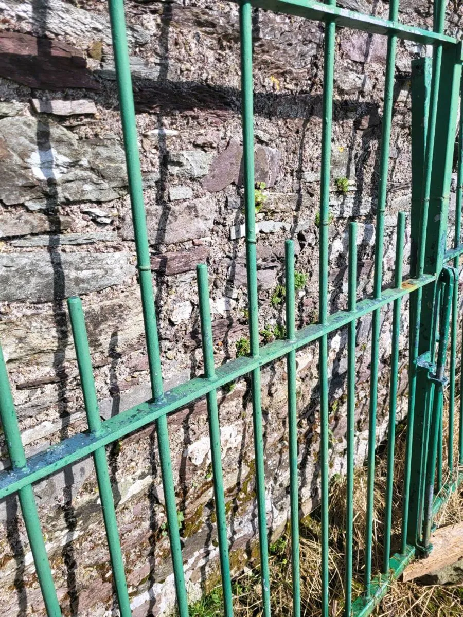 Gates (galvanised, painted, drive) - Image 3