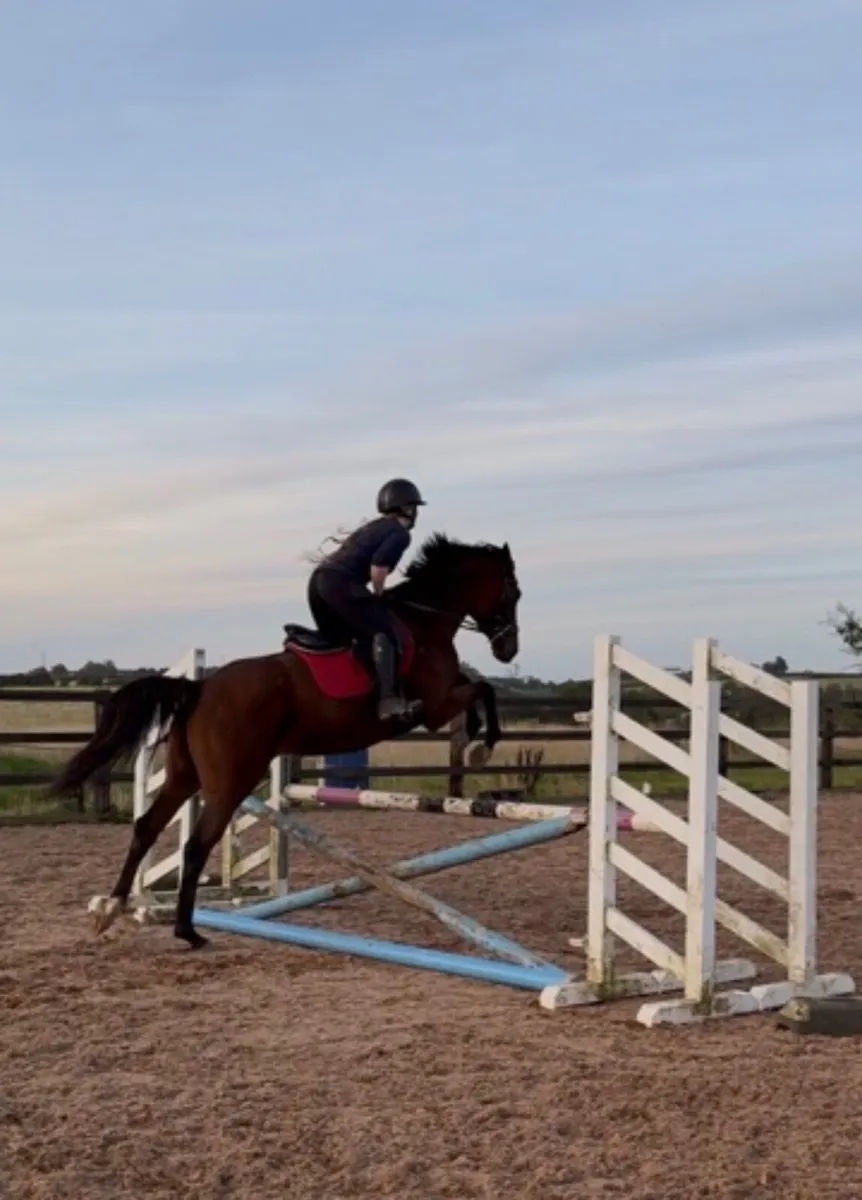 15.2 TB Mare - Image 2