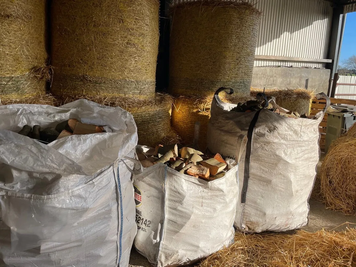 Firewood timber - Image 1