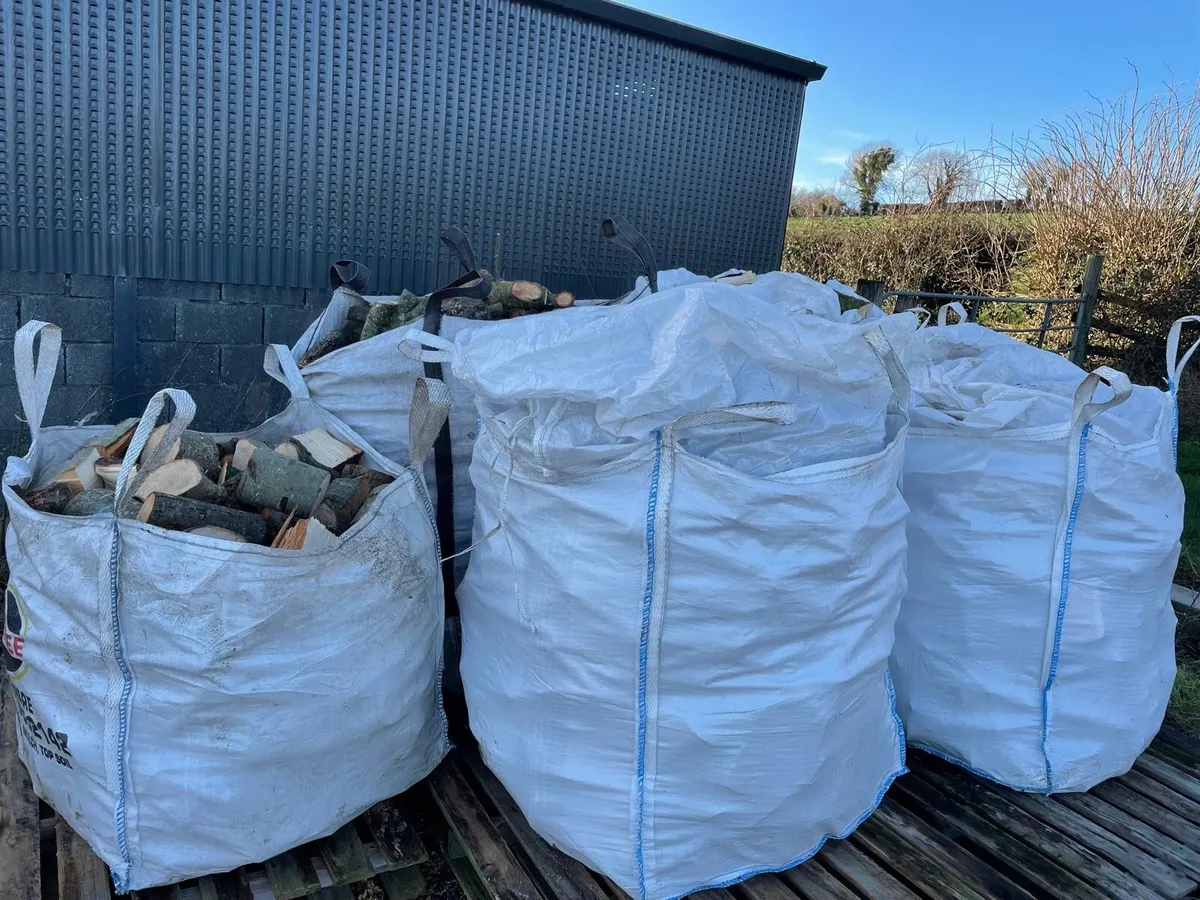 Firewood timber - Image 2