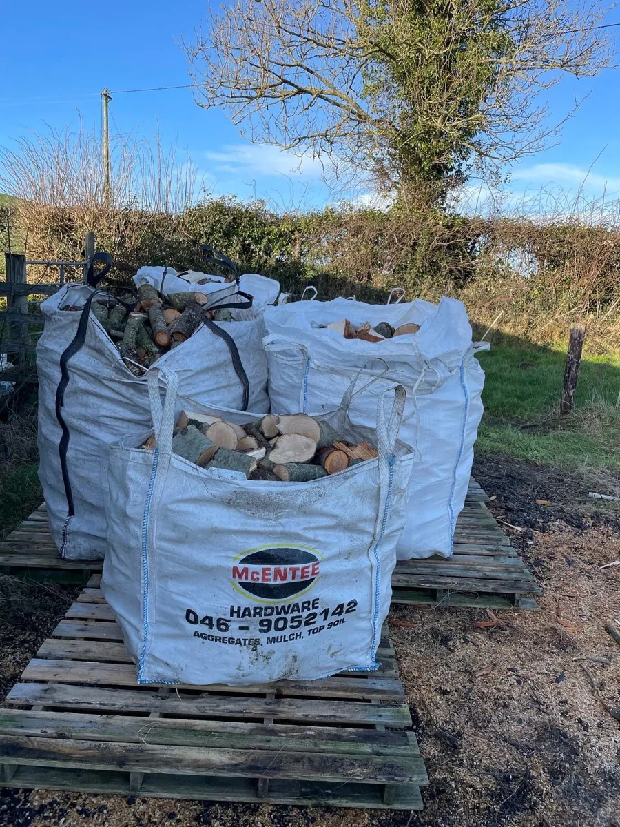 Firewood timber - Image 3