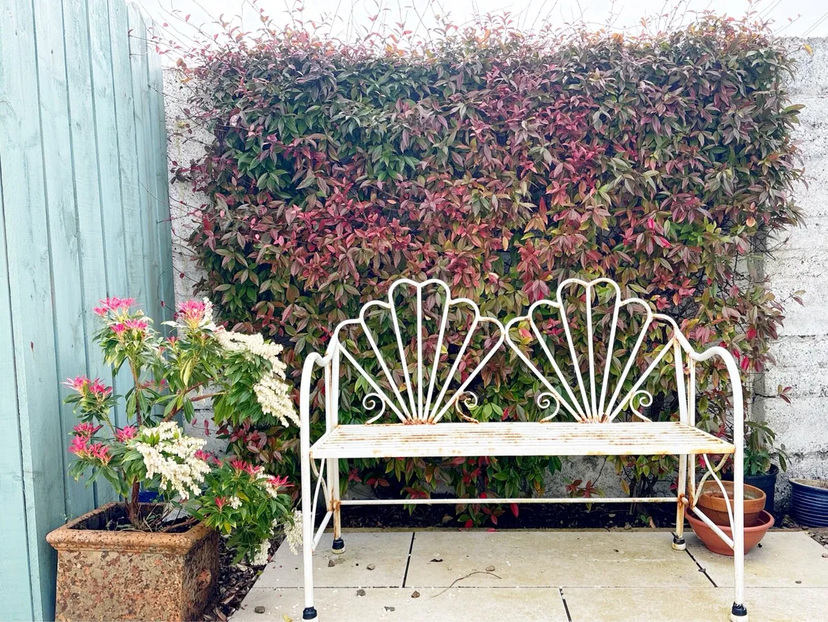 Elegant white metal garden bench for sale - Image 1