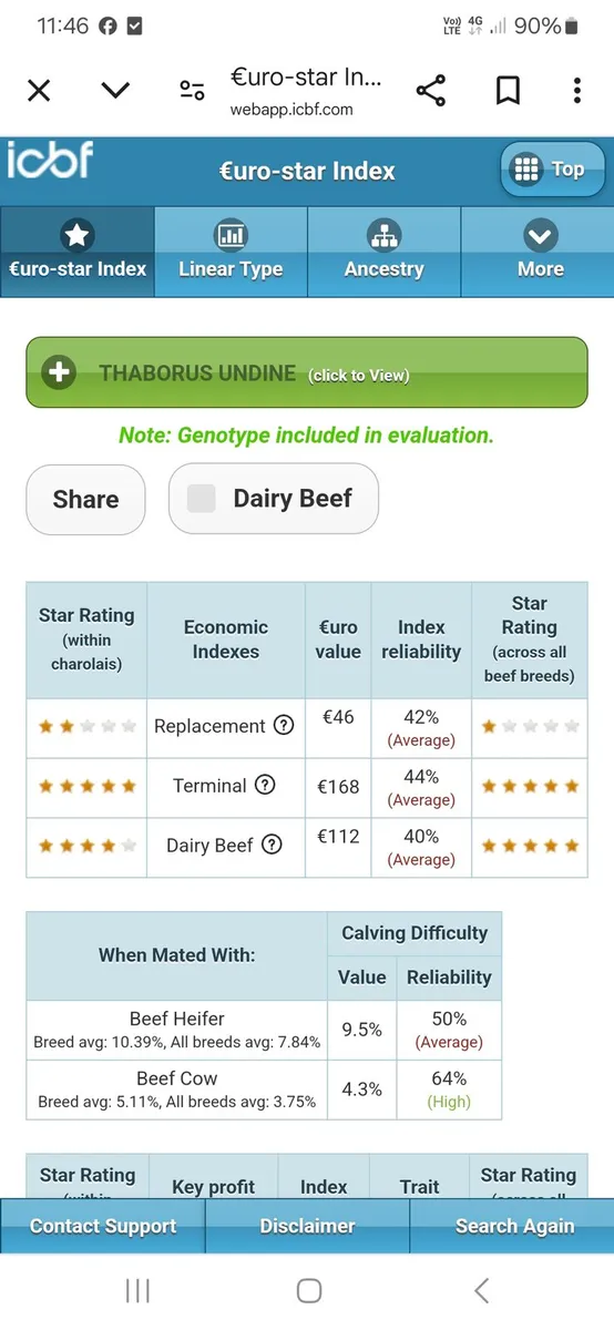 Pb ch springers - Image 4