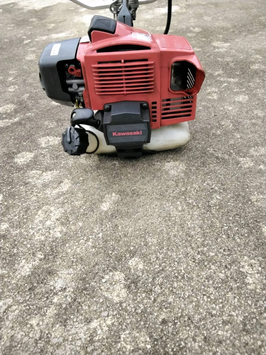 Strimmerfor - Image 1