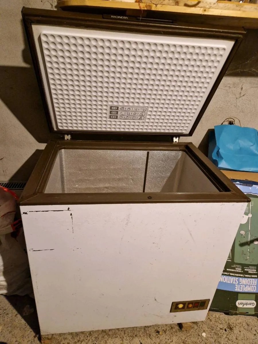 Large Chest freezer - Image 1