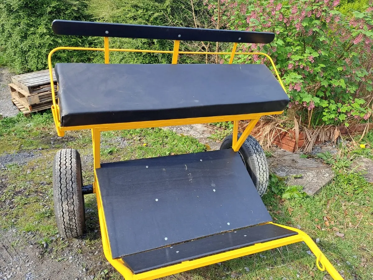 Pony Cart - Image 2