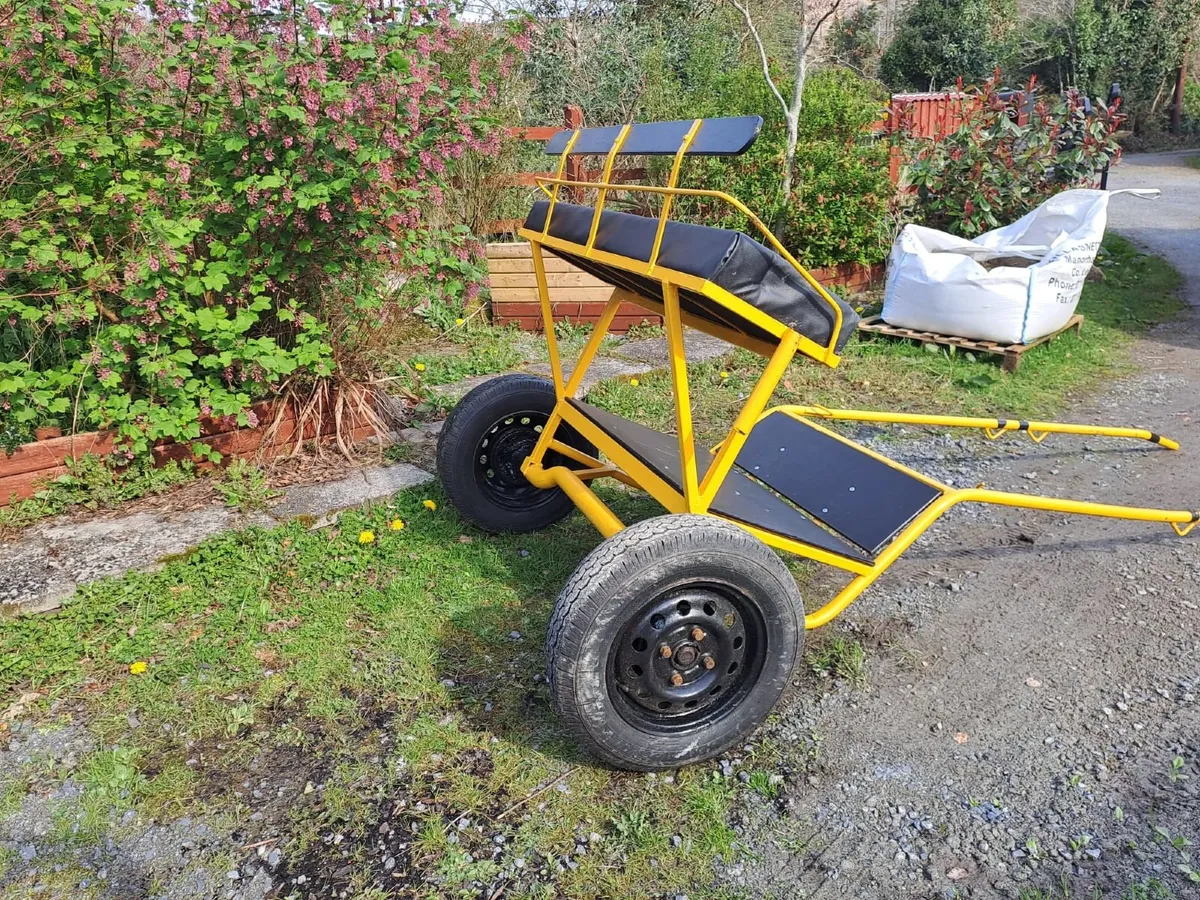 Pony Cart - Image 3