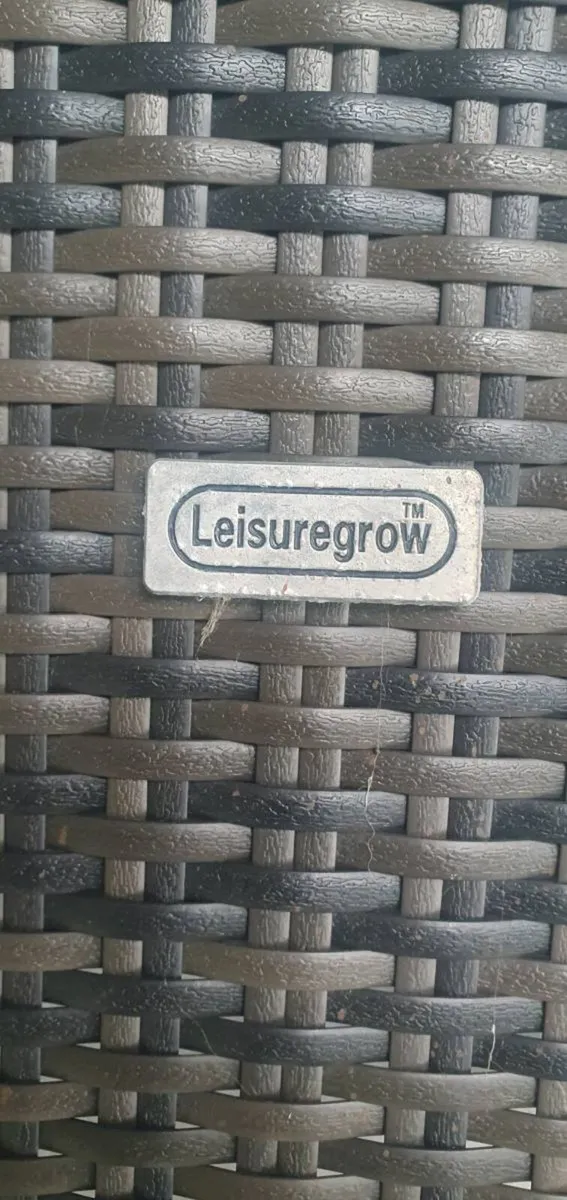 Garden Table with lazy suisse and 8 chairs - Image 3