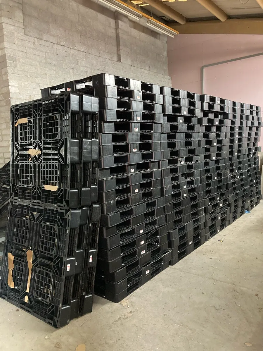 Plastic pallets ideal for fencing, shed base - Image 3
