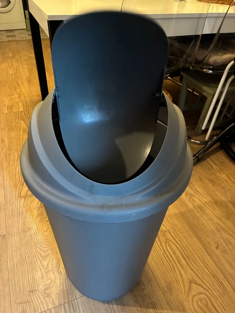 BIG BIN - Image 1