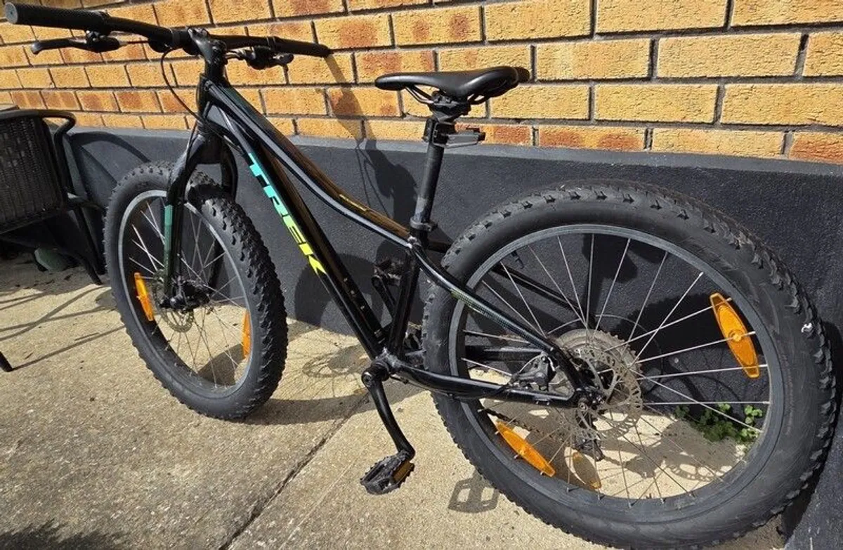 Trek Roscoe 24 Kids Mountain Bike in Black - Image 1