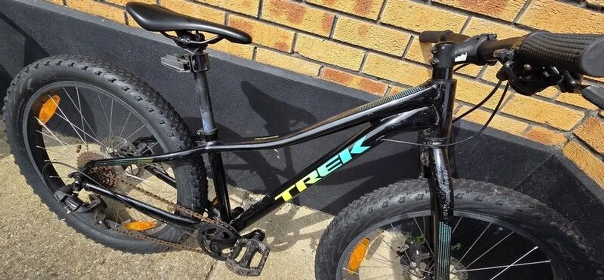 Trek Roscoe 24 Kids Mountain Bike in Black - Image 2