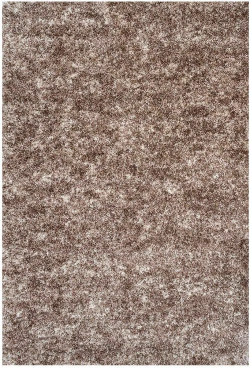 Large Fluffy Warm Beige Shaggy Shag Rug Mottled