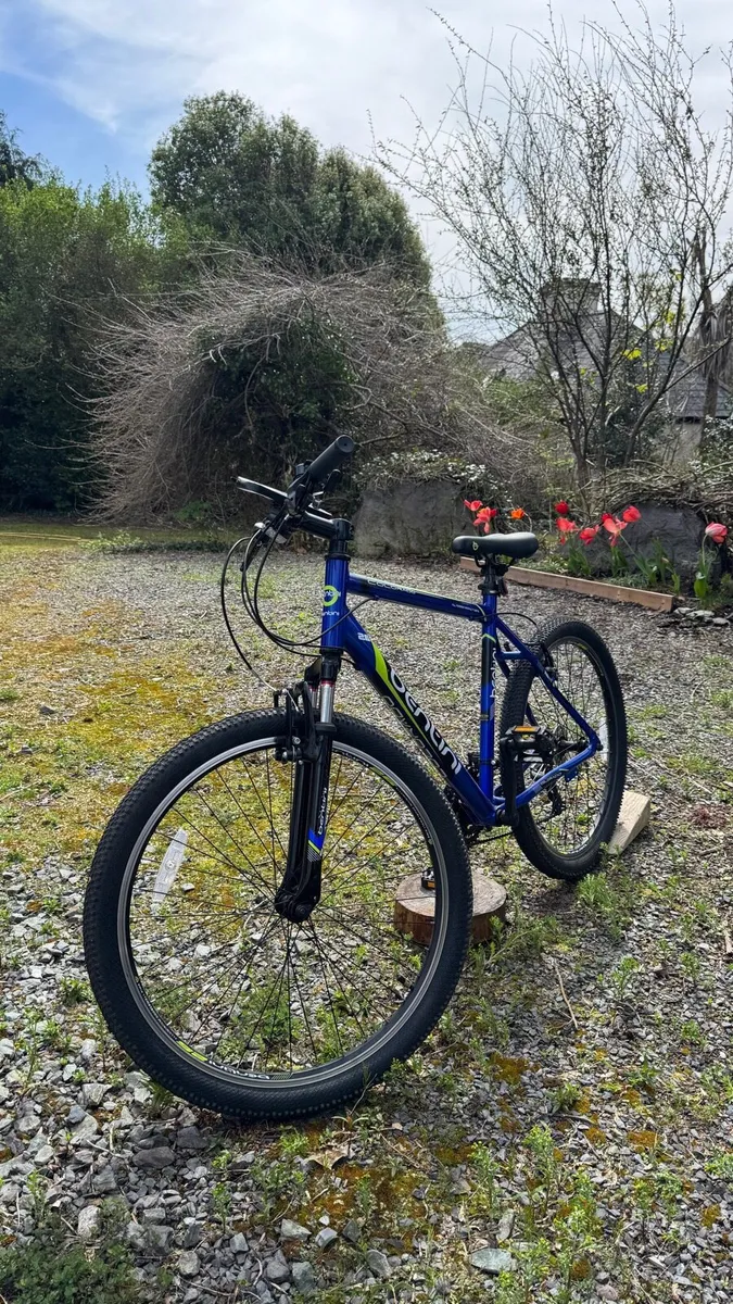 Bentini Colorado 26 Inch Mountain Bike - Image 2