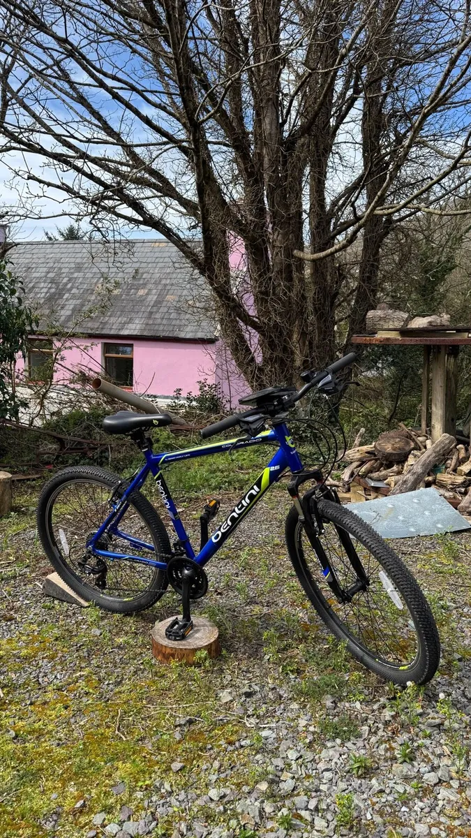 Bentini Colorado 26 Inch Mountain Bike - Image 1