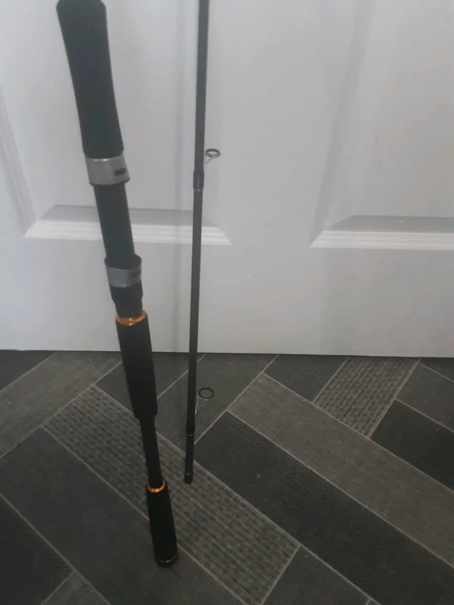 Daiva legalis,seabass,2.9m,14-42gr - Image 1