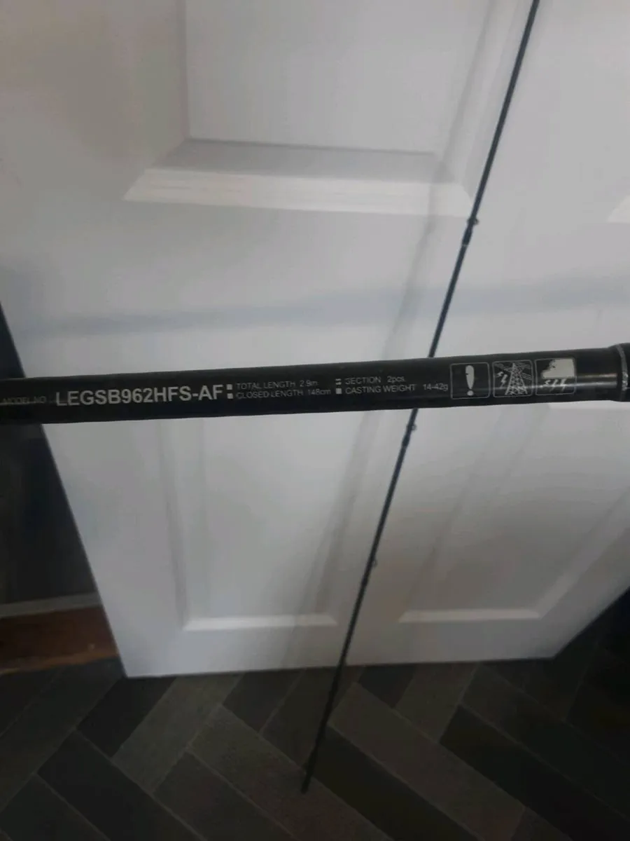 Daiva legalis,seabass,2.9m,14-42gr - Image 3