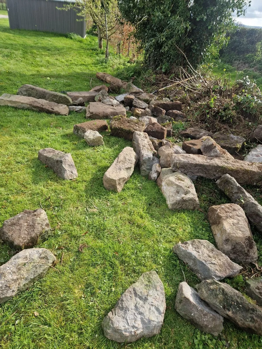 Stone - free - Image 1