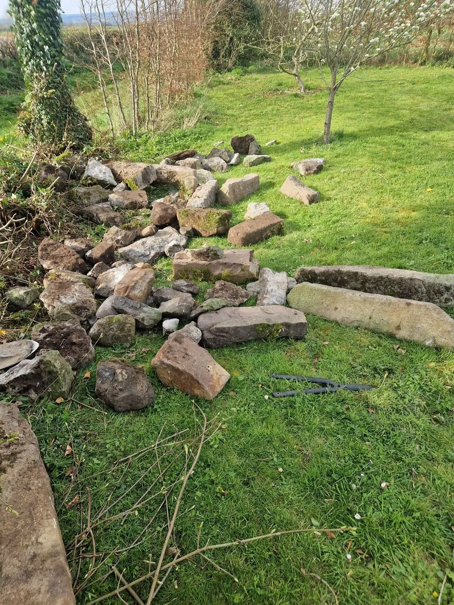 Stone - free - Image 2