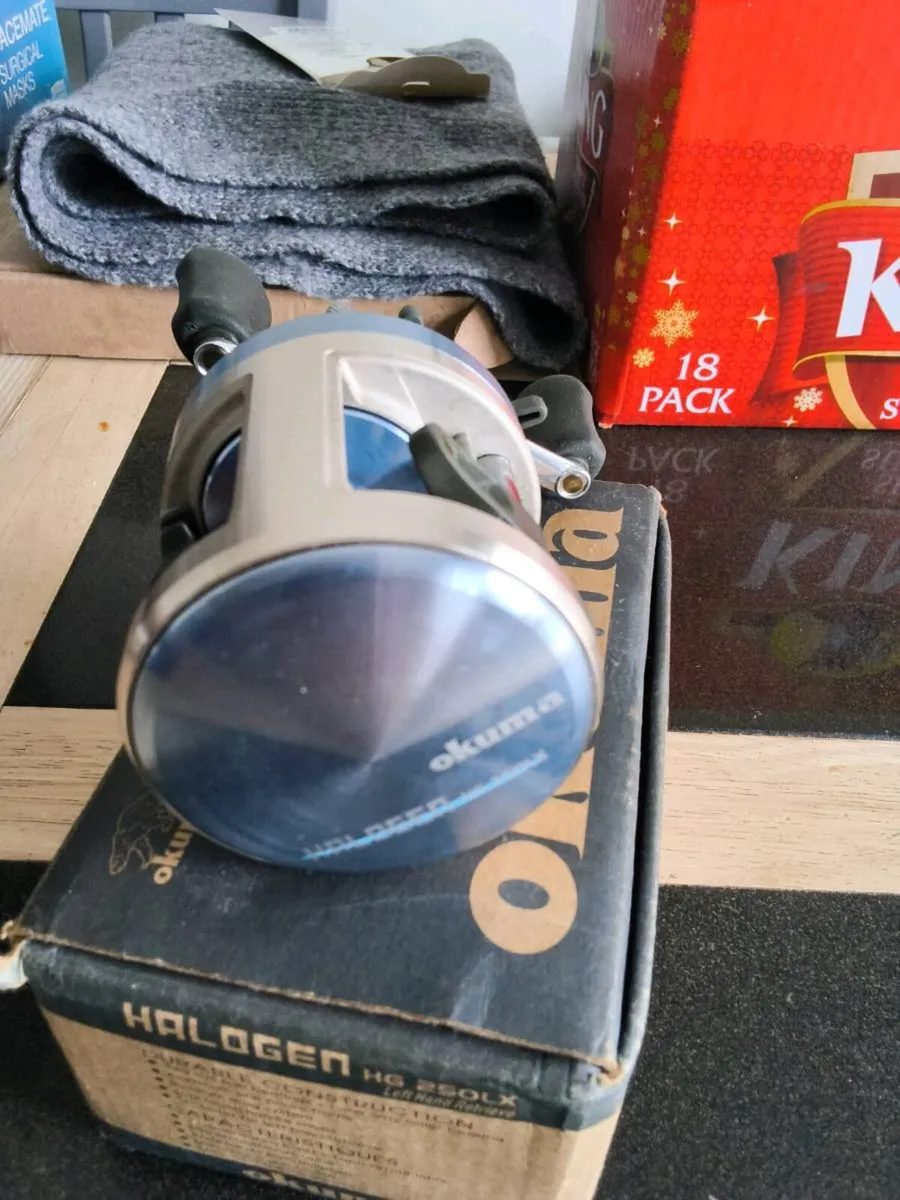 Okyma Halogen he 250lx - Image 2