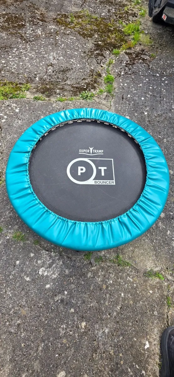 Gym Trampoline - Image 3