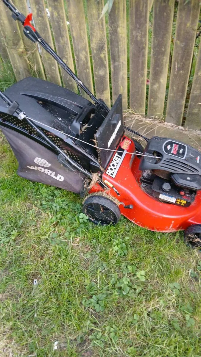Mower - Image 2