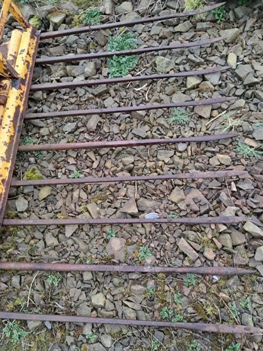 GRAYS 6' PO BUCKRAKE - Image 4