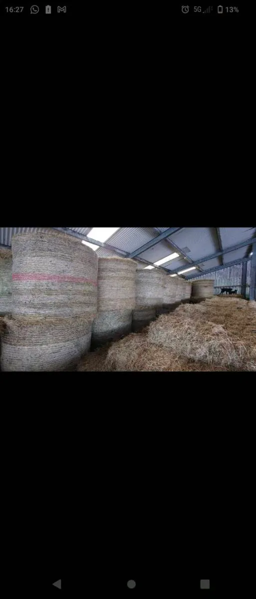 Small Square Bales