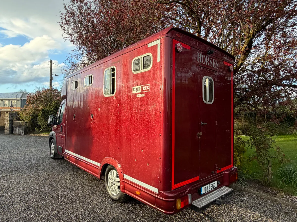 Peugeot Boxer Horse Transporter 4150KG - Image 4