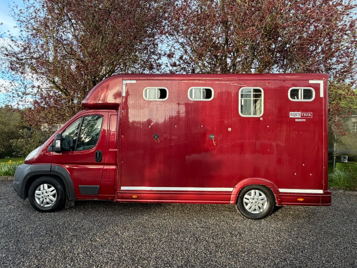 Peugeot Boxer Horse Transporter 4150KG - Image 3