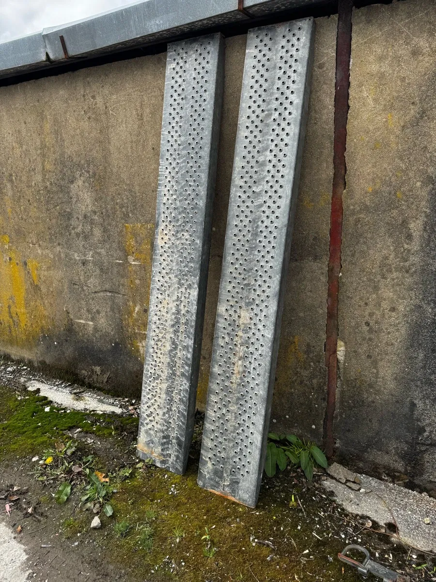 I For William ramps - Image 3