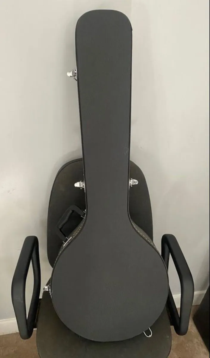 Banjo case - Image 1