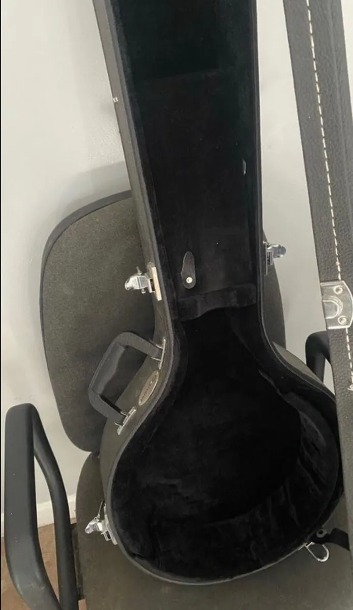 Banjo case - Image 2