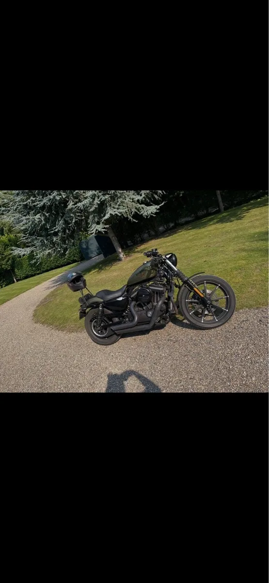 Harley Davidson sportster 883 - Image 2