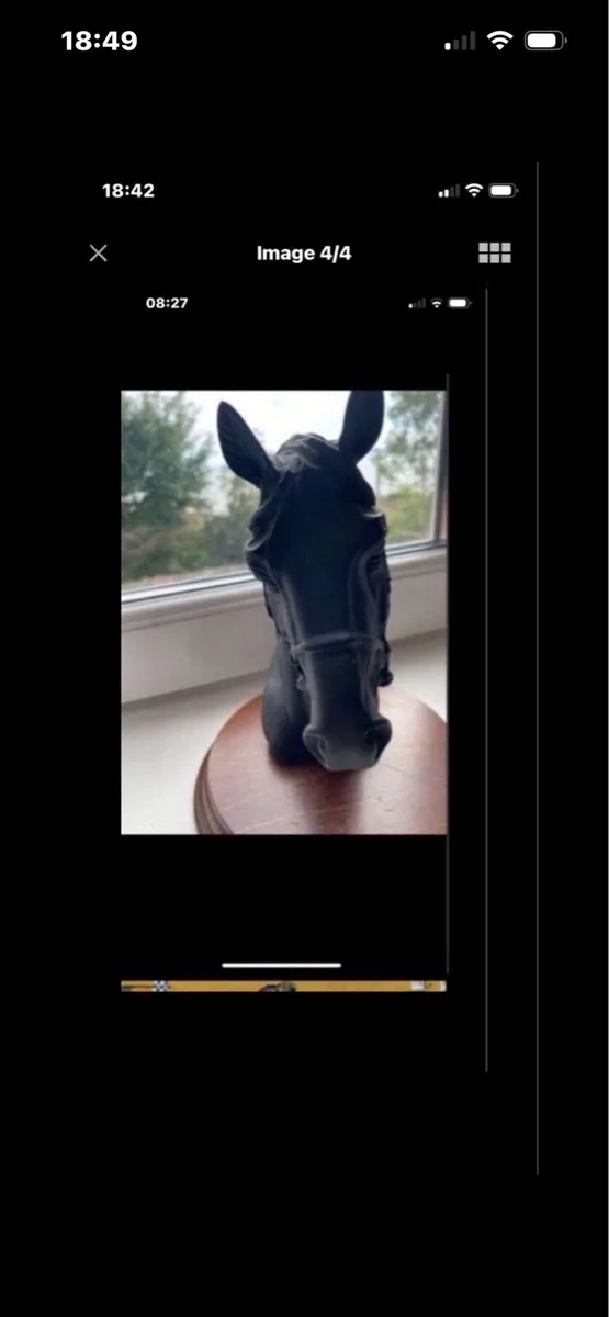 Vintage Horse Head Display - Image 4