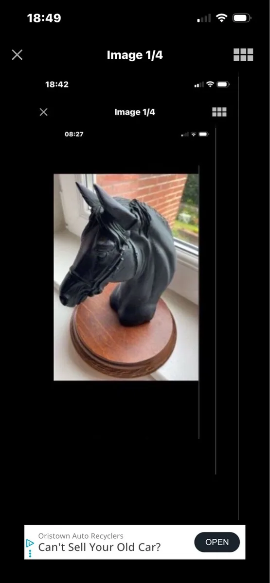 Vintage Horse Head Display - Image 1
