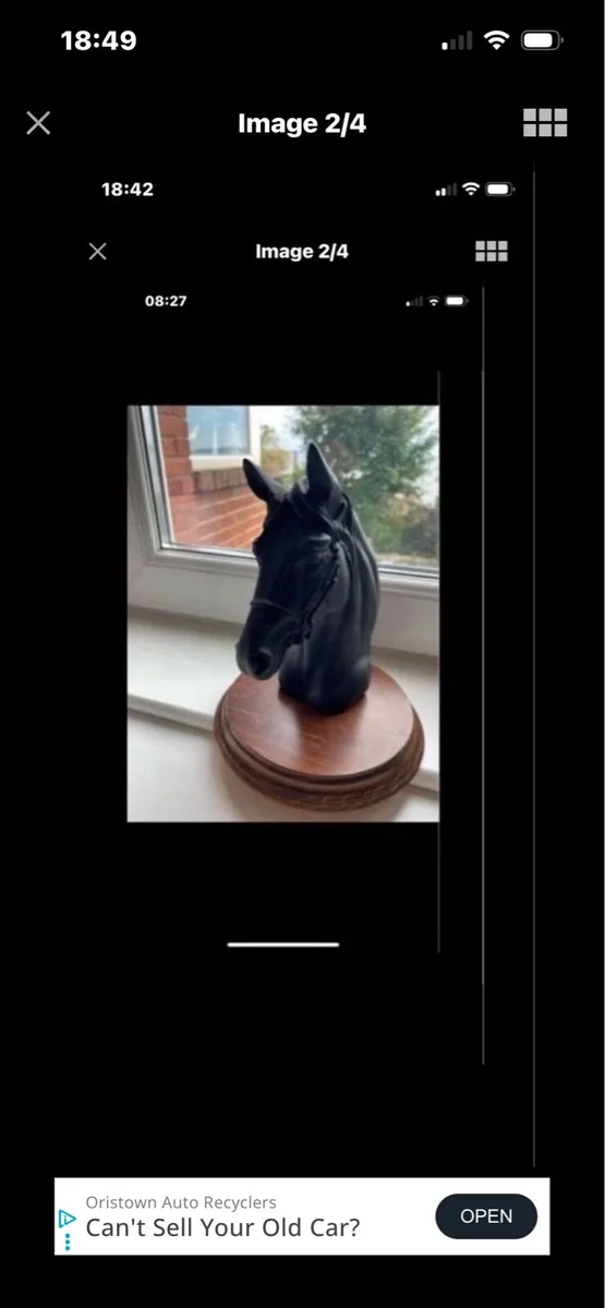 Vintage Horse Head Display - Image 2