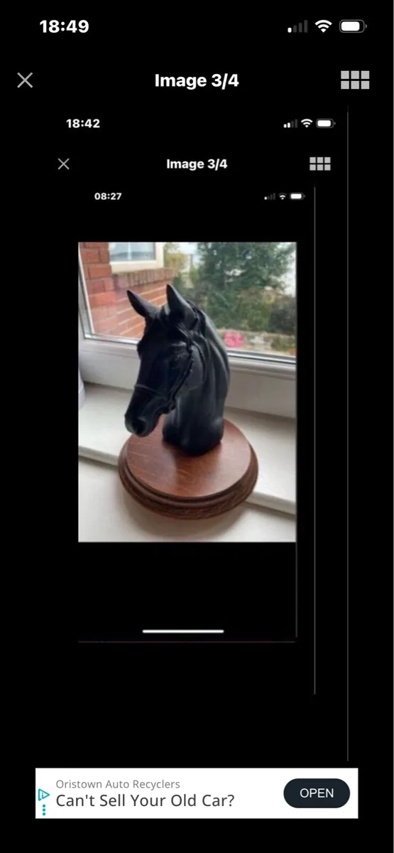 Vintage Horse Head Display - Image 3