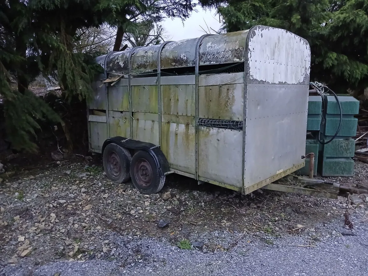 12 ft by 5ft trailer - Image 1
