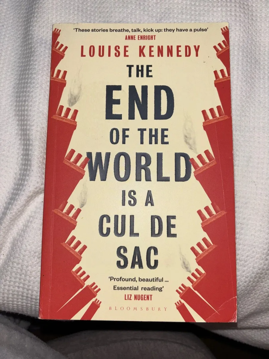 The end of the world is a cul de sac - book