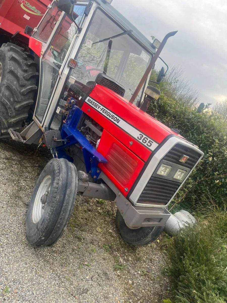 Massey Ferguson 365 Tractor - Image 1