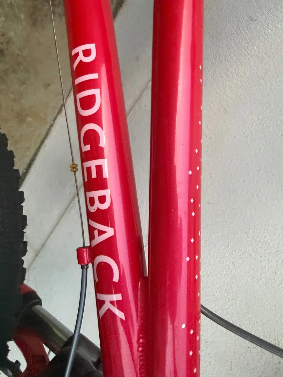 Bike Ridgeback 20inch - Image 3