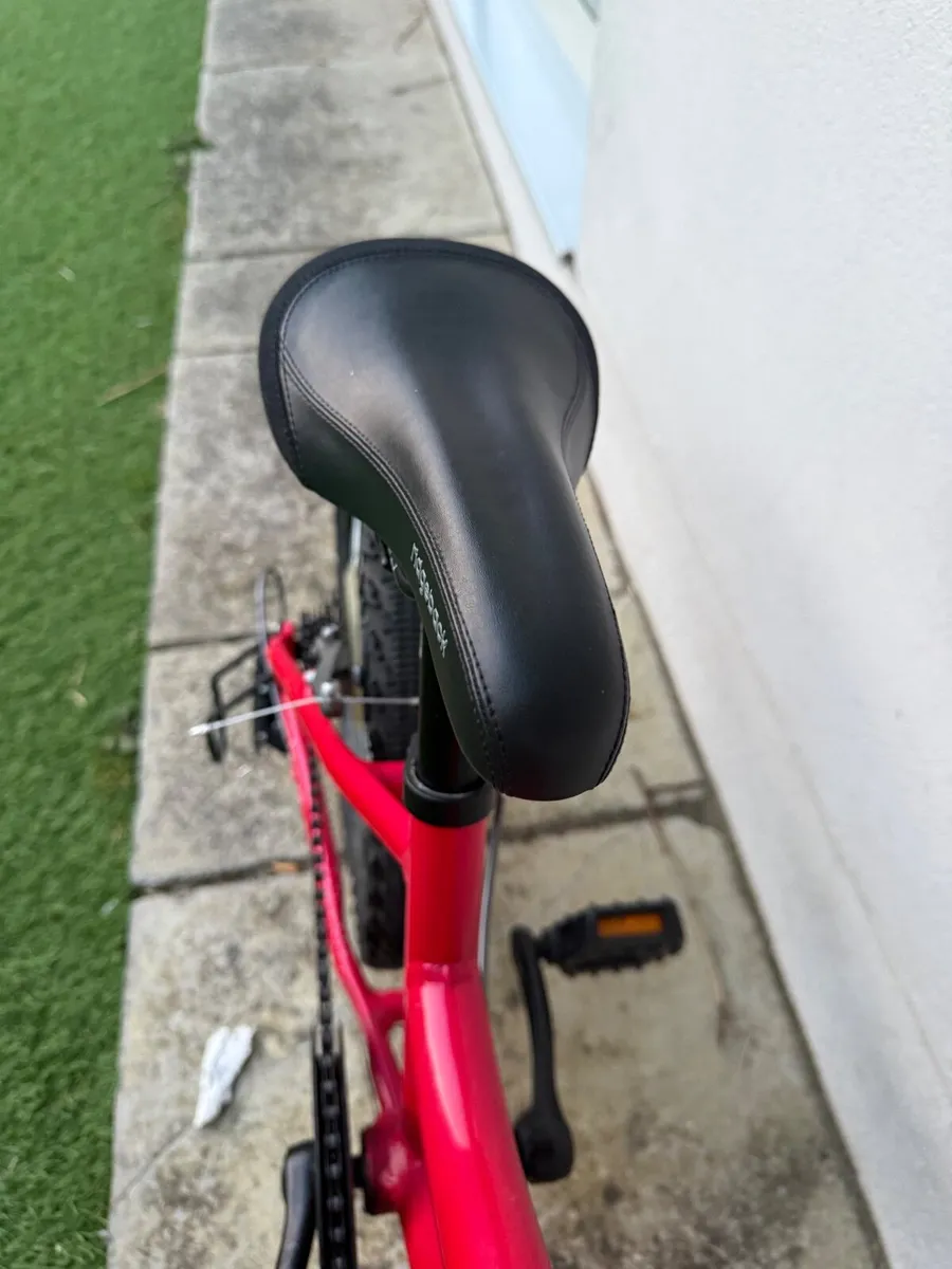 Bike Ridgeback 20inch - Image 4