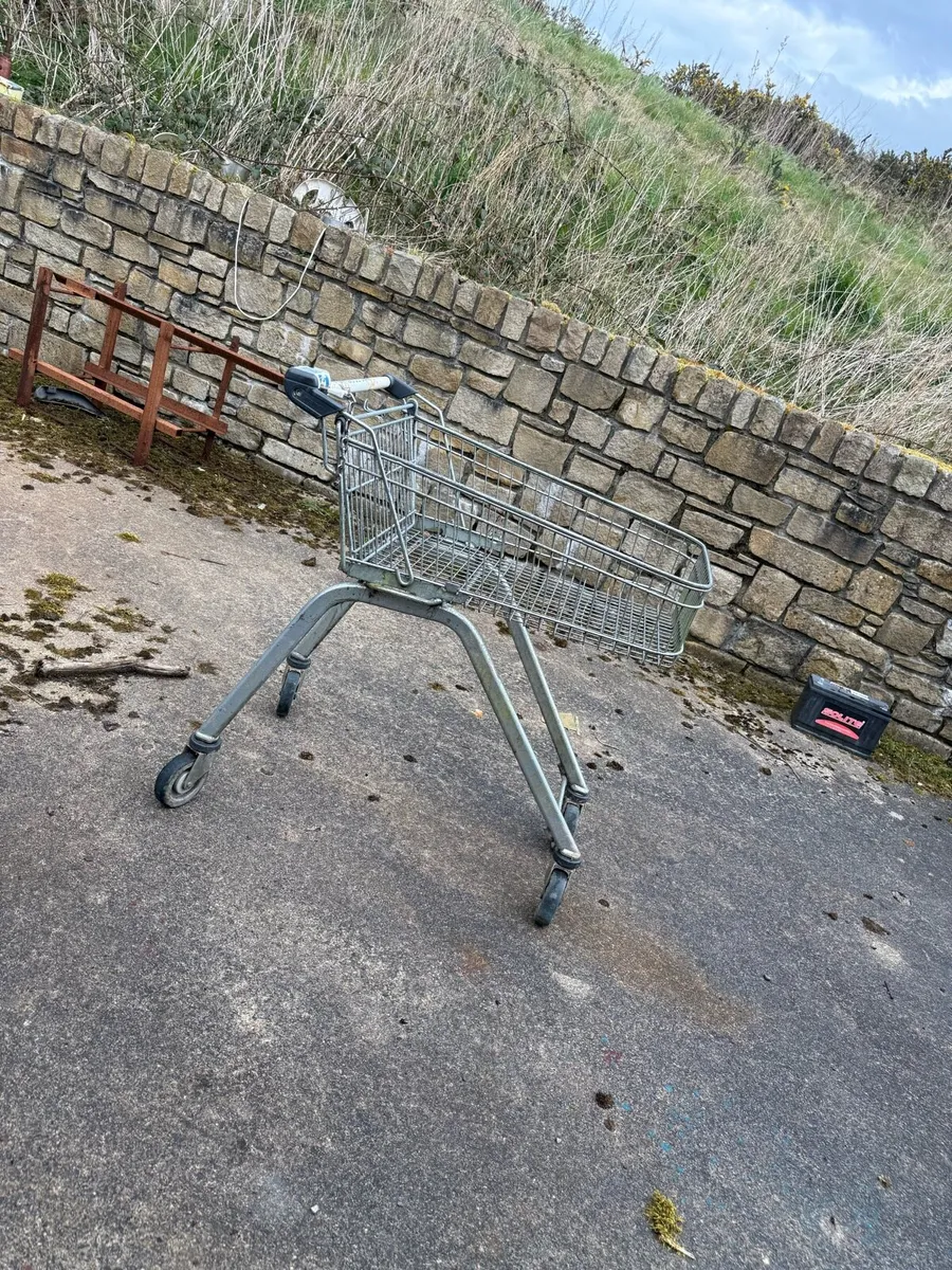 Shopping trolleys