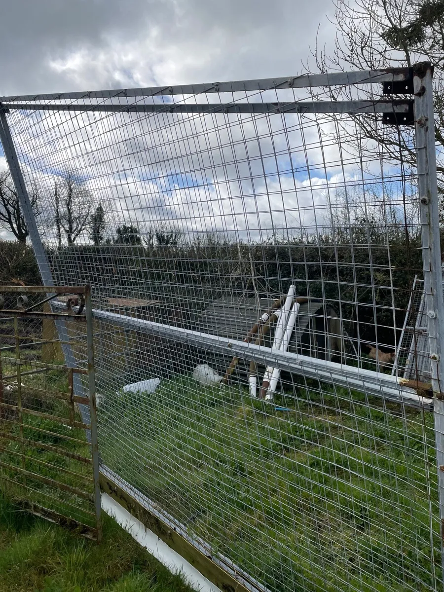 Poultry partition gates - Image 2