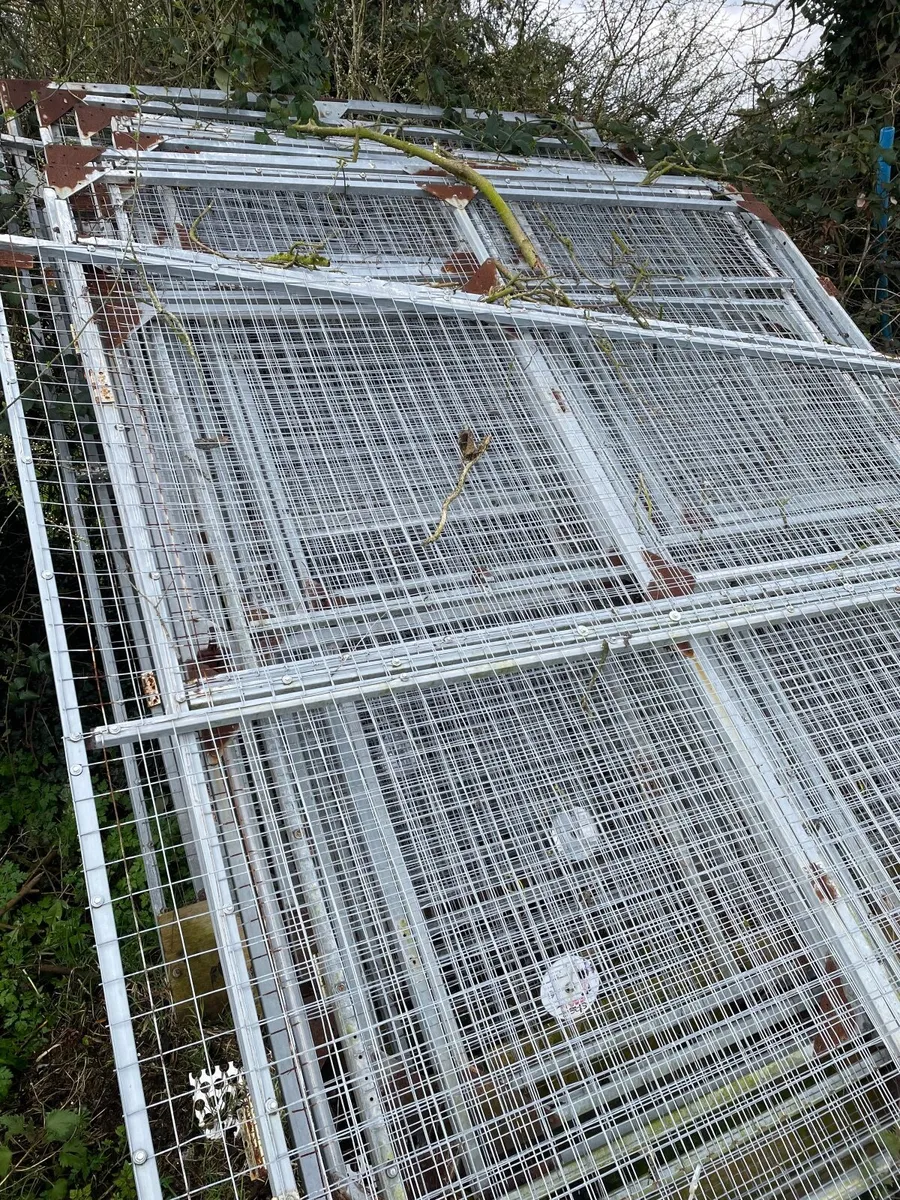 Poultry partition gates - Image 3