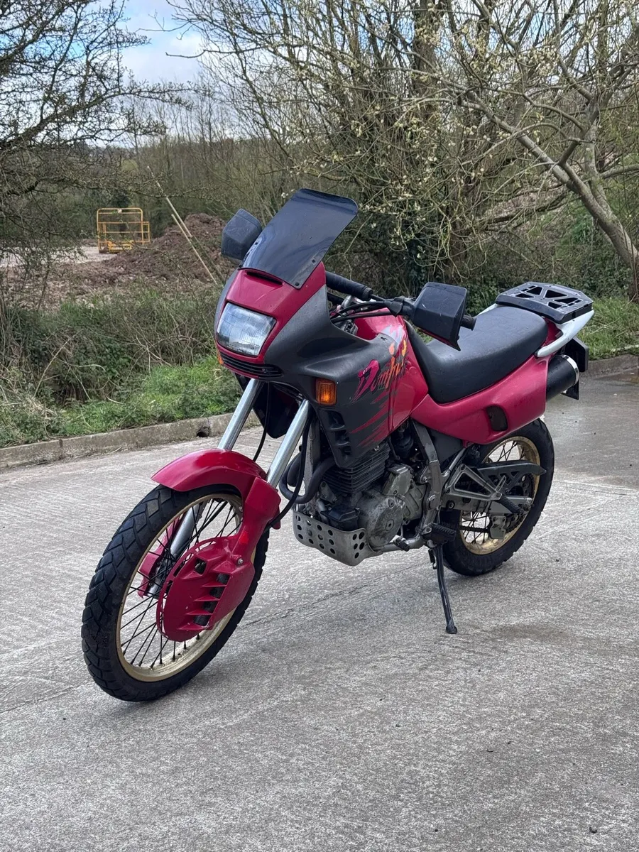 Honda Dominator 650 (NX650) - Image 3