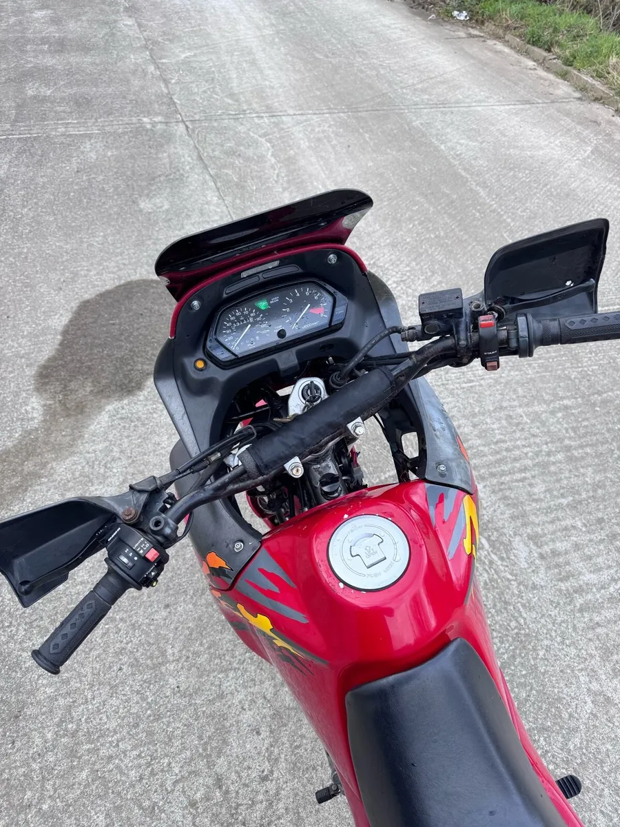 Honda Dominator 650 (NX650) - Image 4